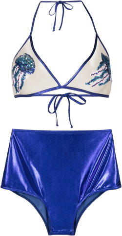 Carnaval/Festival sequin-embellished metallic bikini