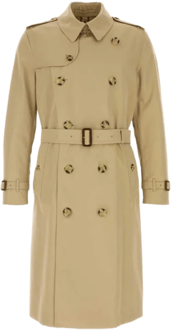 Men Beige Cotton Heritage Kensington Trench Coat In Neutral