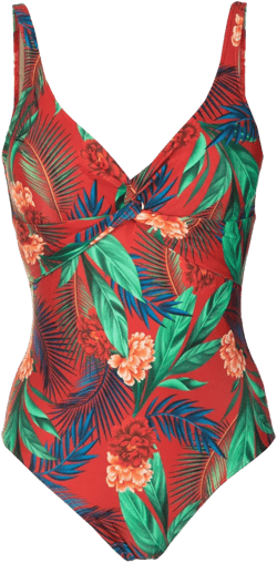 Adriana floral-print swimsuit