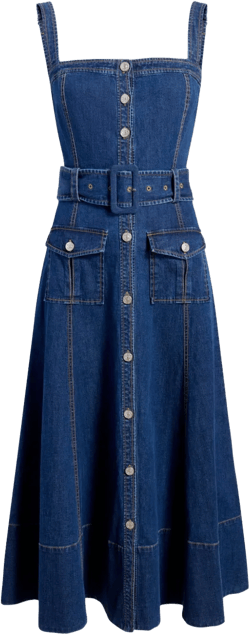 Vega denim midi dress