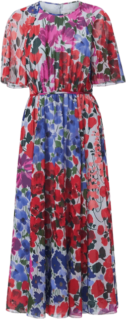 Jardin-print gathered midi dress
