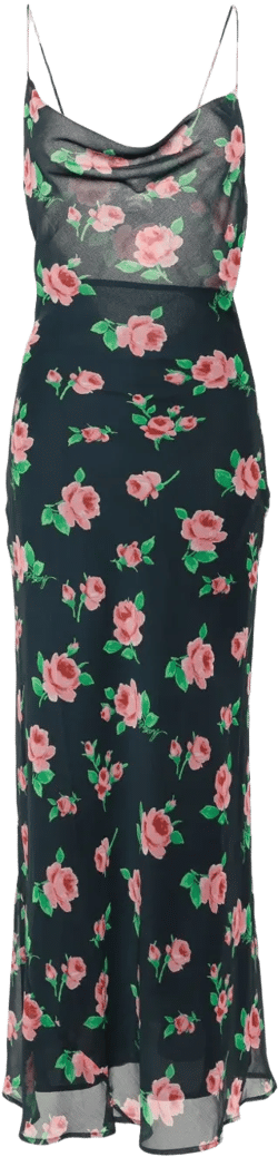 rose-print chiffon maxi dress