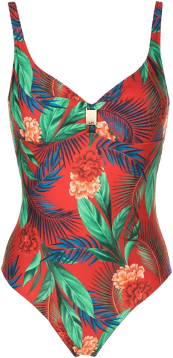 Roberta botanical-print swimsuit