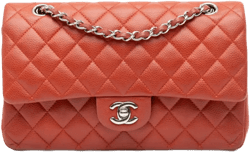 2010-2011 Medium Classic Caviar Double Flap shoulder bag