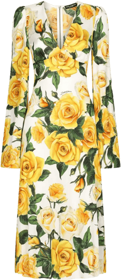 rose-print midi dress