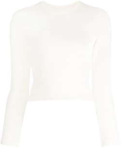 Equilibrium cropped top