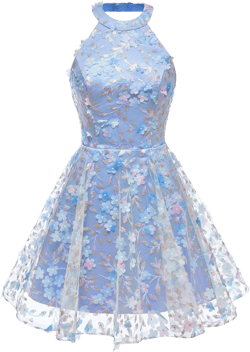 Short Sexy Halter Sequins Homecoming Dresses 2025 A Line Empire Waisst Flower Lace Tulle Cocktail Dresses SF048 22 Plus Blue