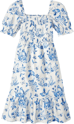 Gymboree Women's Short Sleeve Dresses Small Blue Birds