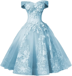 Women's Tulle Lace Appliques Prom Dress Off The Shoulder Mini Dress Short Dresses Cocktail Dresses for Teens 26 Plus Sky Blue