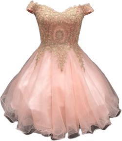Dydsz Off Shoulder Appliques Prom Dresses for Women Short Homecoming Dresses for Teens A Line Tulle Cocktail Dress 18 1-blush