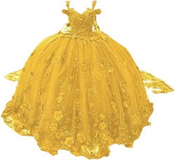 Dydsz Women's Off Shoulder Floral Quinceanera Dresses with Cape Sweet 16 Prom Party Ball Gown at Amazon Women’s Clothing store