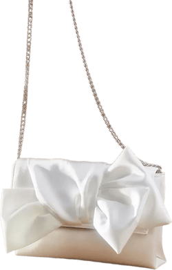 Jewel by Badgley Mischka Delilah Satin Sash Envelope Clutch