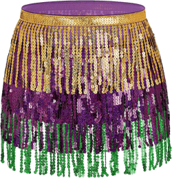 Belly Dance Skirt Hip Scarf Sequin Fringe Skirt Boho Clothes Tassel Disco Dress Rave Outfits for Women Girl Festival Playsuit One Size Short Gold Purple Green