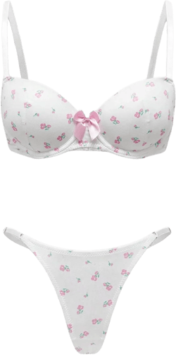 MakeMeChic Women's 2 Piece Lingerie Set Floral Print Spaghetti Strap Bra and Panty Sets Medium Pink