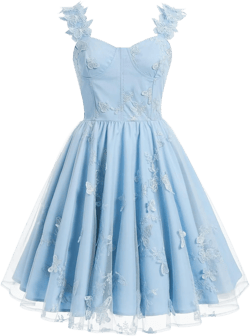 Butterfly Embroidered Dress for Women Floral Corset Dress Spaghetti Straps Tulle Prom Dress Cocktail Evening Tea Party Dress
