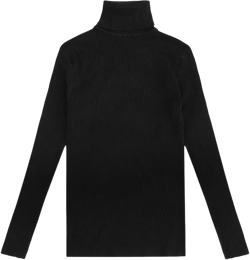 Womens Fall Sweaters Lightweight Turtleneck Shirts Long Sleeve Tops Slim Fit Outfits Curved Hem Thumb Hole​ Black One Size