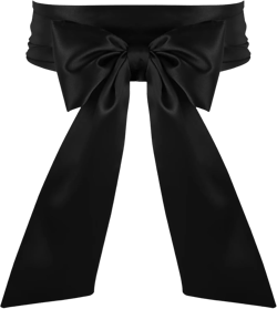 Women Dress Waist Belts Wedding Bridal Satin Sash Belts for Special Occasion Formal Prom Dresses 3.9'' Wide Black