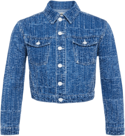 Koda Cropped Denim Jacket In Everson