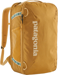 Patagonia Women's Metallic Hole Mini Mlc 30L Backpack
