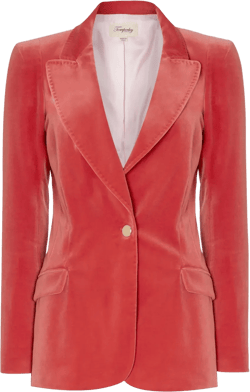 Clove velvet blazer