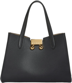 Trunkaroo tote bag