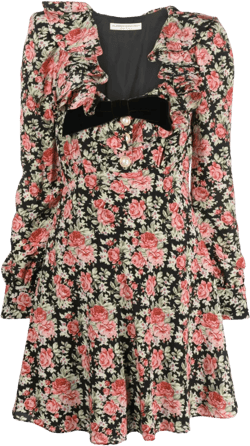 rose-print silk minidress