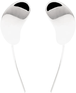 Nues polished-finish earrings