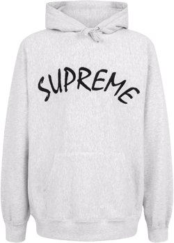 Ftp Arc logo hoodie