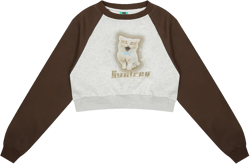 Women Hoodie Printed Short Sweater for Girls Spring and Autumn round Neck Long Sleeve