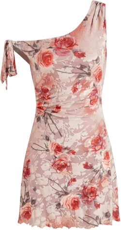 Mesh Asymmetrical Neck Floral Ruched Knotted Mini Dress