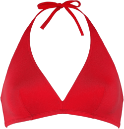 Gang triangle bikini top