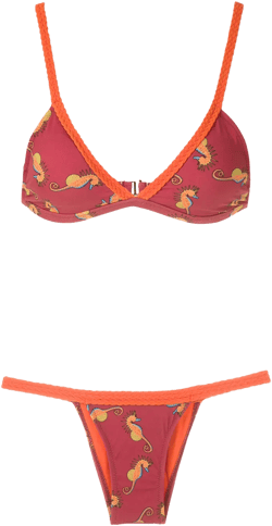 Printed Bikini Set In Red