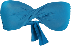 Hawaii Bikini Top In Blue