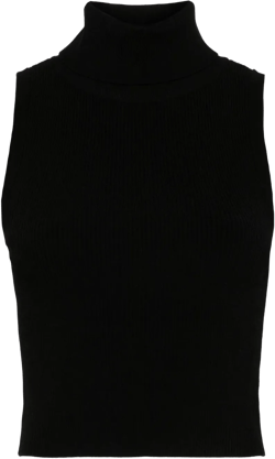 turtleneck crop top