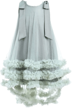 Violeta ruffled tulle-overlay dress