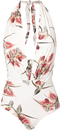 Deneuve floral-print swimsuit