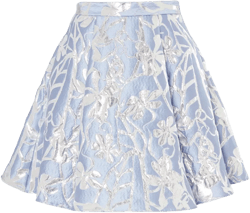 Frankel skirt 
