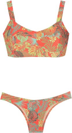 palm leaf print bikini