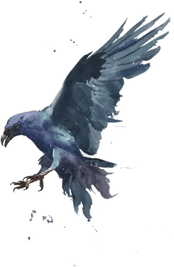 Crow Wall Art by Eric Sweet | Blackbird Watercolor, Crow Painting, Crow Decor | Art Print of Crow in Flight