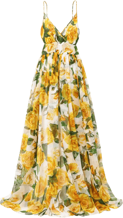 Floral-print silk-chiffon maxi dress