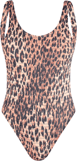 Brown Leopard Print Shirred Backless Swimsuit