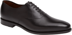 Allen Edmonds Carlyle Plain Toe Oxford