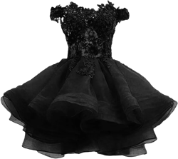 Tsbridal Women's Off The Shoulder Organza Short Homecoming Dress Lace Applique Junior Formal Cocktail Party Gown Black-zipper Back 6