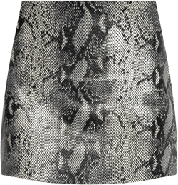 Renai skirt 