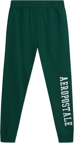 AEROPOSTALE Active Boys Sweatpants - Super Soft Fleece Boys Athletic Jogger Pants Kids Activewear with Pockets (Sizes: 4-16) Green Jacket 10-12