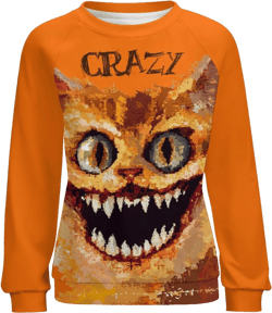 Womens Funny Cat Sweatshirt Long Sleeve Abstract Printed Crewneck Pullover Shirts 2024 Fall Tunic Tops for Grils Crazy Cat Orange Small