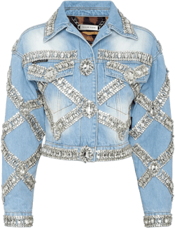 cropped brooch jacket 