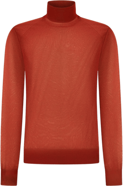 transparent roll-neck top