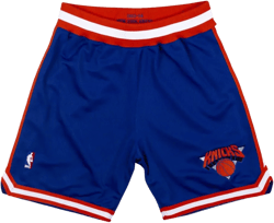 Knicks 93-94 "Blue" authentic shorts