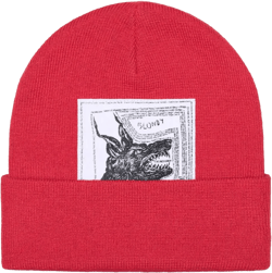 x The North Face beanie